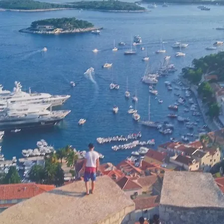And Hvar Vijola 3*