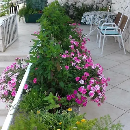 And Hvar Vijola Guest house
