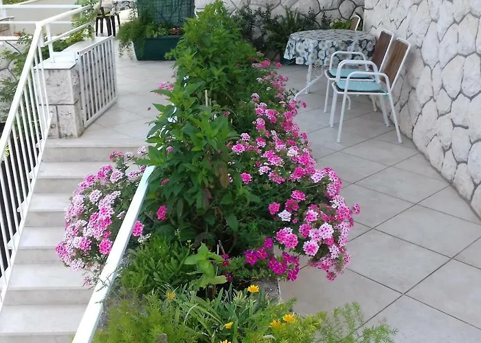 And Hvar Vijola Guest house