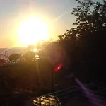 And Hvar Vijola 3* Хвар