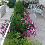 And Hvar Vijola Guest house
